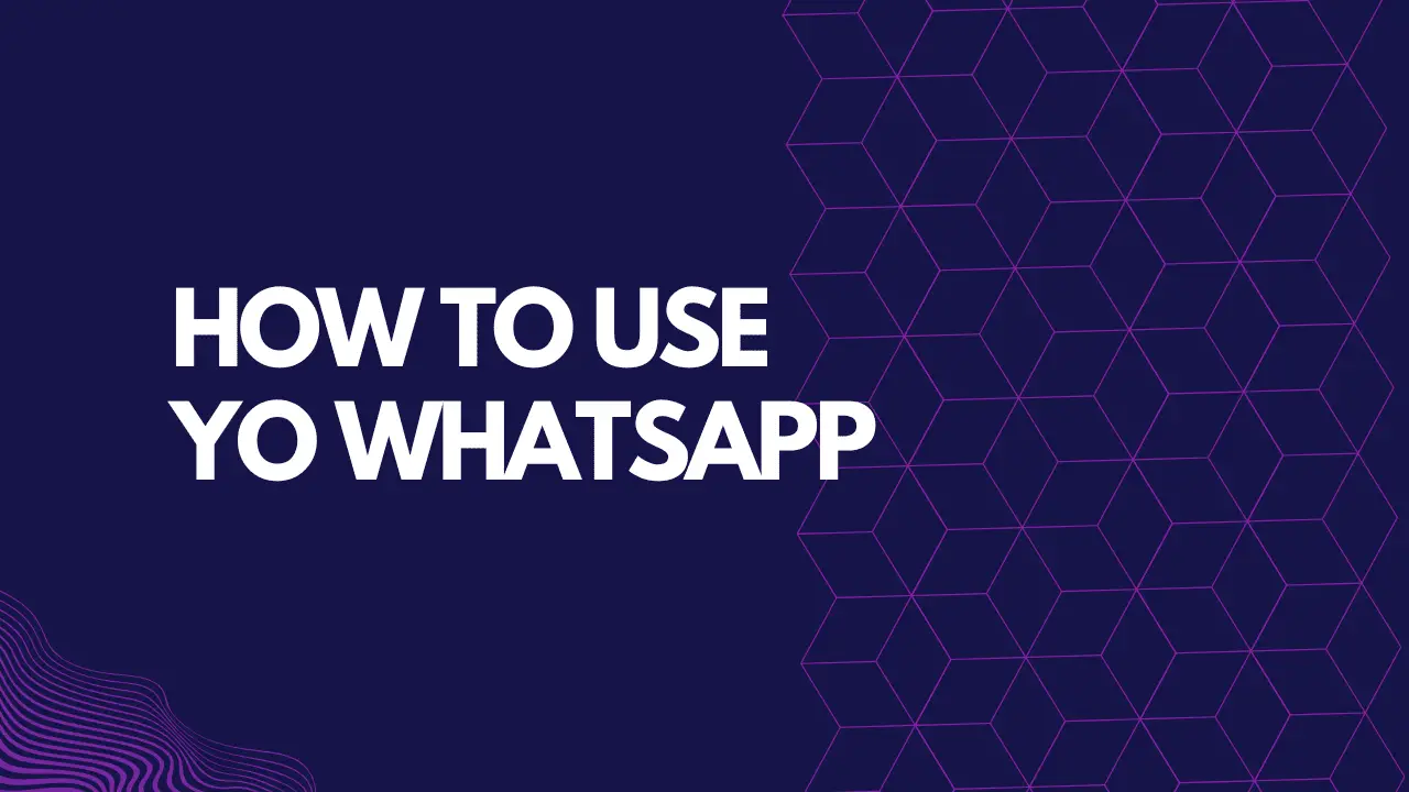 How To Use Yo Whatsapp